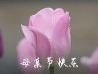 2024年祝母亲节快乐的QQ祝福语37句（2021年母亲节祝福妈妈的话语有哪些）