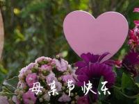 2024年祝母亲节快乐的QQ祝福语45条（2021年母亲节的祝福语是什么）