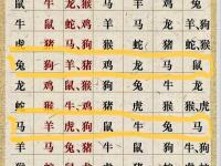 三合狗是什么生肖 三合生肖佩戴讲究是什么意思