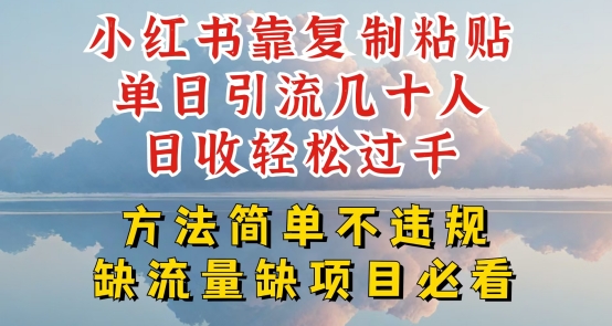 小红书靠复制粘贴单日引流几十人目收轻松过千，方法简单不违规-万力资源网_专注分享网络赚钱副业项目-创业项目分享