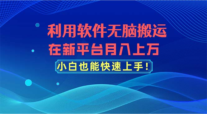 （11078期）利用软件无脑搬运，在新平台月入上万，小白也能快速上手-万力资源网_专注分享网络赚钱副业项目-创业项目分享
