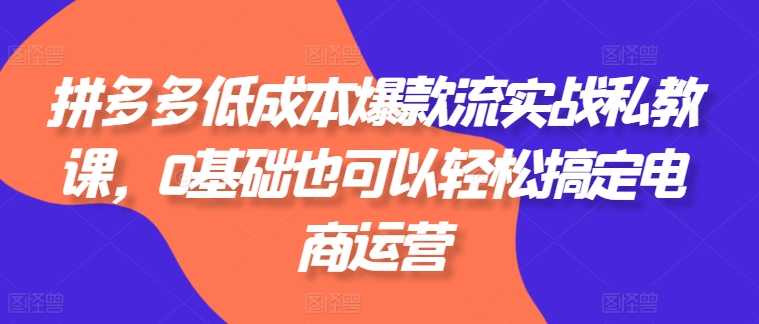 拼多多低成本爆款流实战私教课，0基础也可以轻松搞定电商运营-万力资源网_专注分享网络赚钱副业项目-创业项目分享
