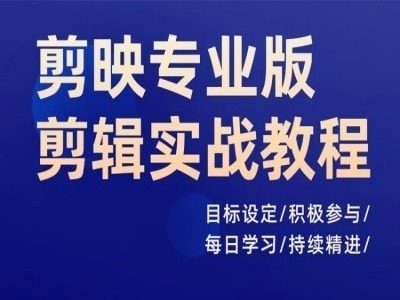 剪映专业版剪辑实战教程，目标设定/积极参与/每日学习/持续精进-万力资源网_专注分享网络赚钱副业项目-创业项目分享