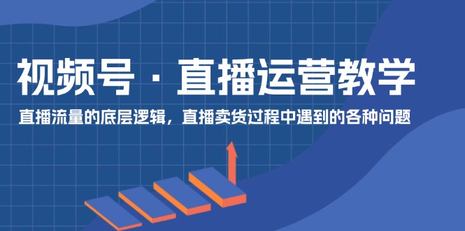（11687期）视频号 直播运营教学：直播流量的底层逻辑，直播卖货过程中遇到的各种问题-万力资源网_专注分享网络赚钱副业项目-创业项目分享
