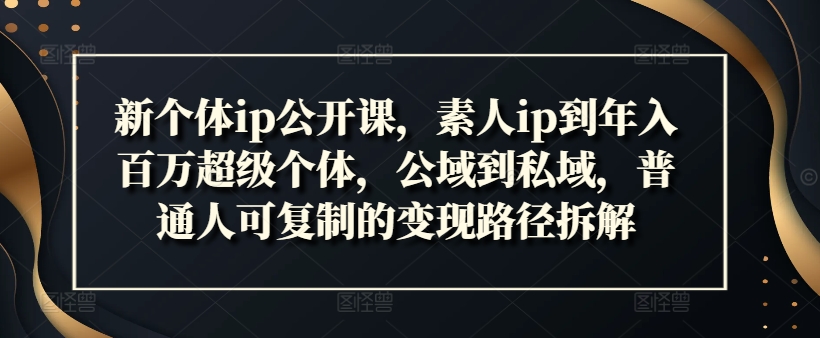 新个体ip公开课，素人ip到年入百万超级个体，公域到私域，普通人可复制的变现路径拆解-万力资源网_专注分享网络赚钱副业项目-创业项目分享